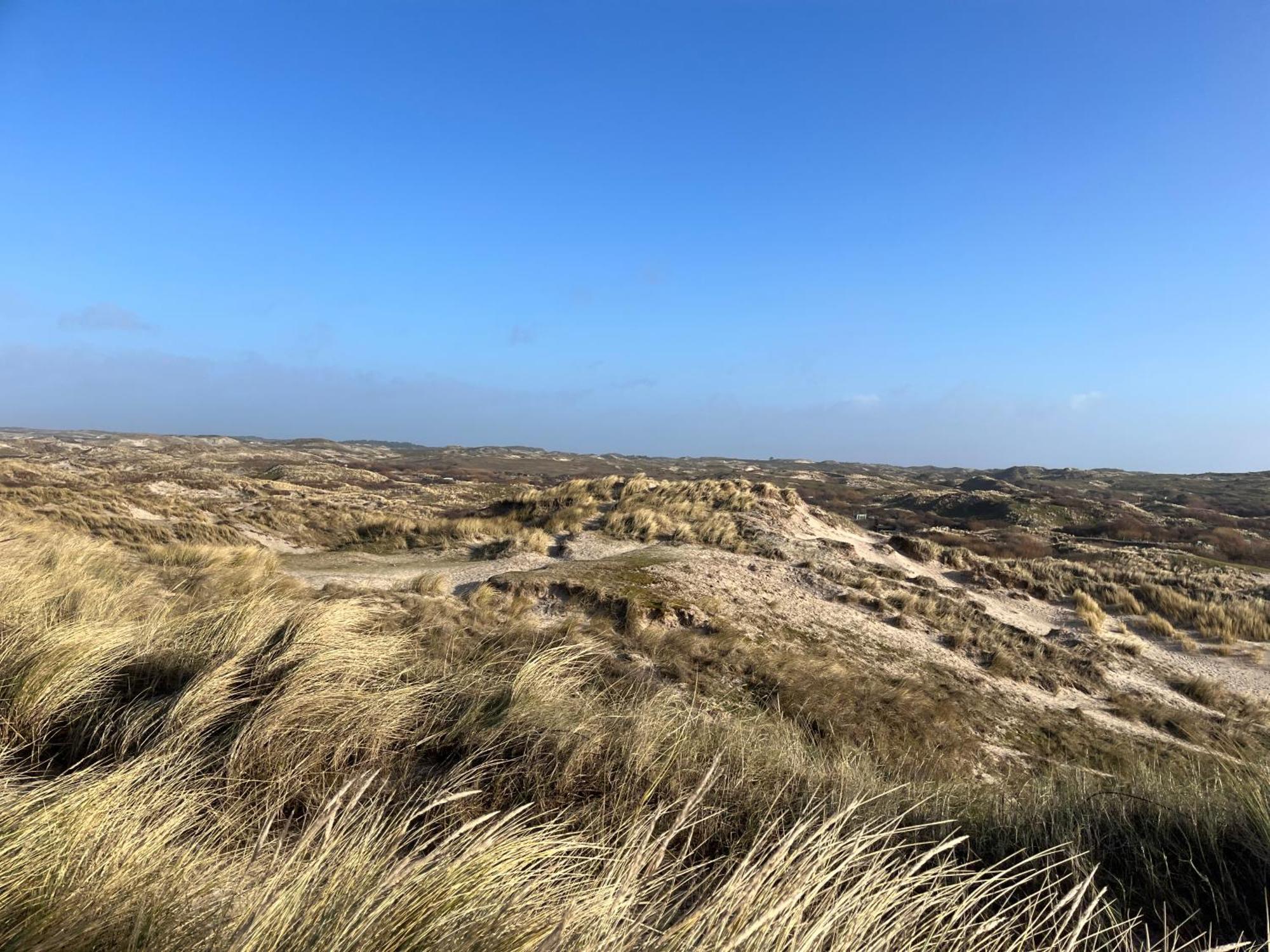 אגמונד אן זי Vakantiehuisje Aan Zee - 100M Van Strand מראה חיצוני תמונה